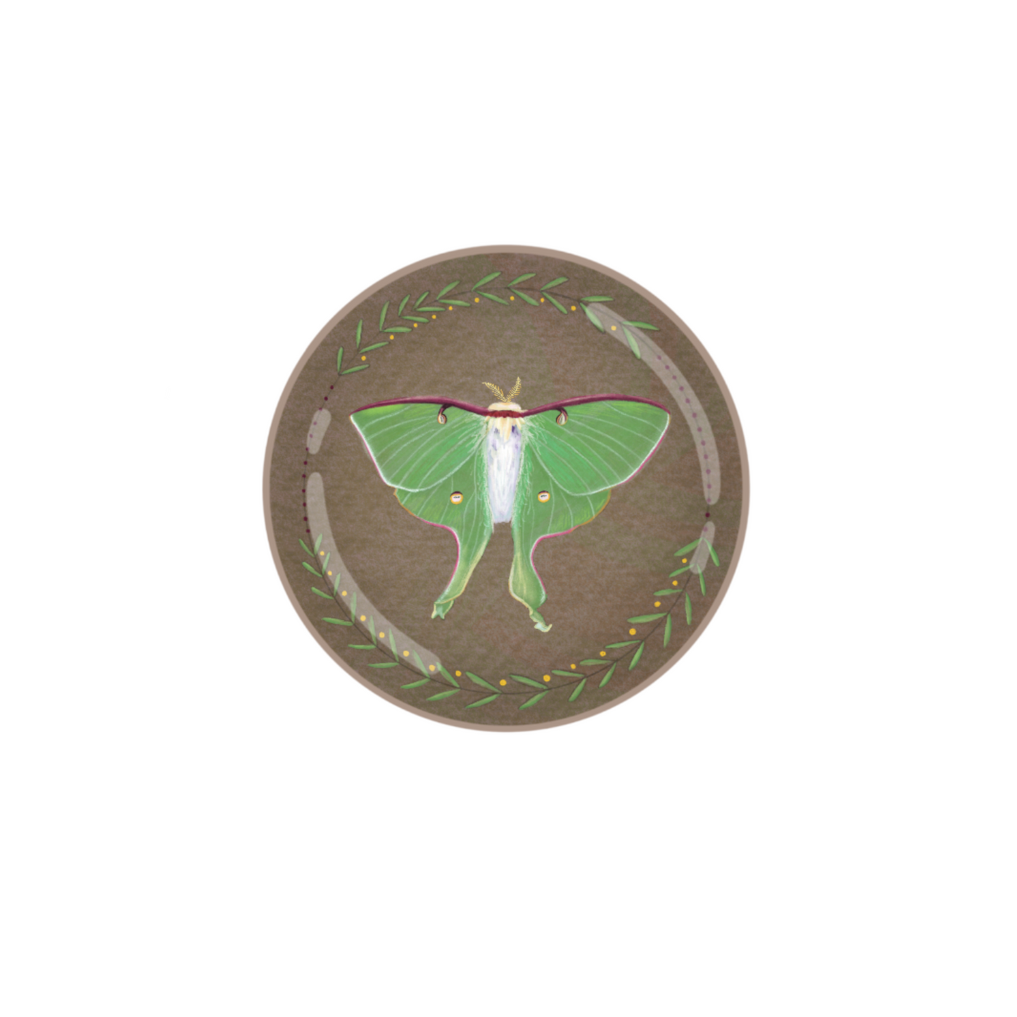 Luna Moth Button