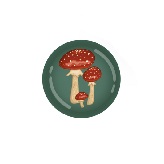 Fly Agaric Mushroom Button